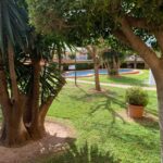 Jardín - Arena y Luz