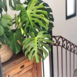 Villa de lujo en Moraira - One Thousand Waves 27