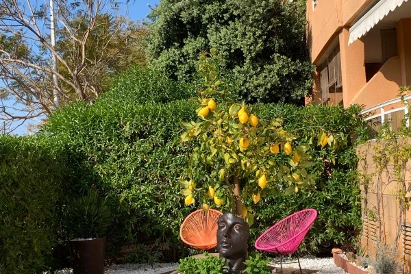 Apartamento La siesta
