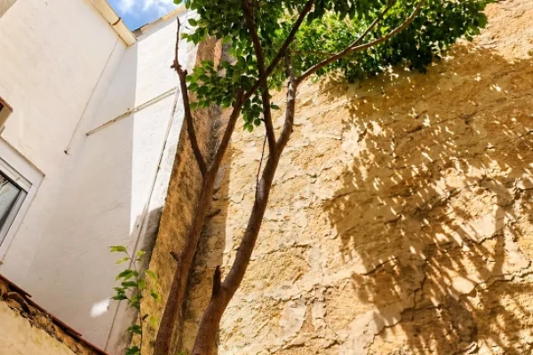 la rustiqueta javea (1)